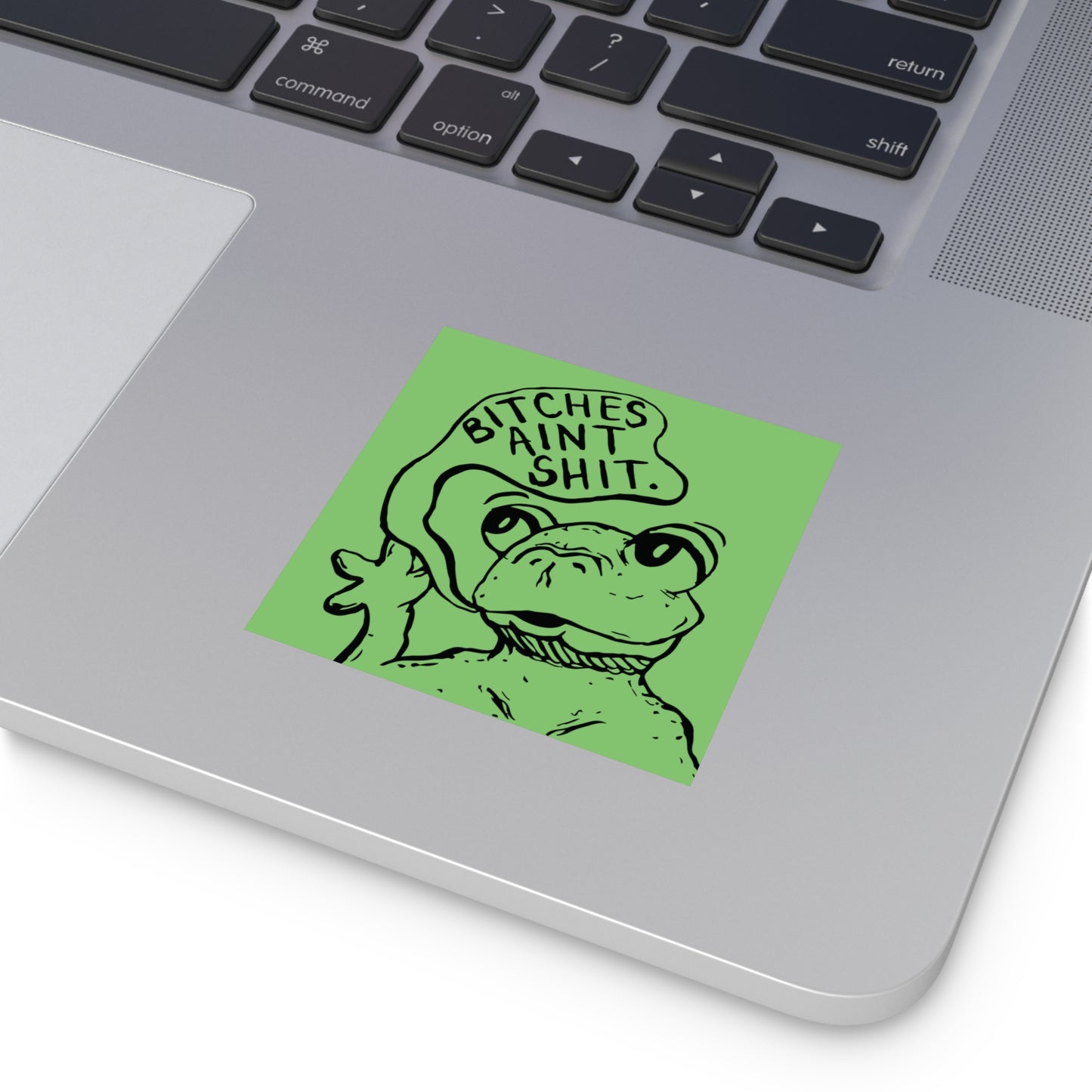 B*tches Ain't... Frog Sticker | Funny Frog Meme Vinyl Sticker