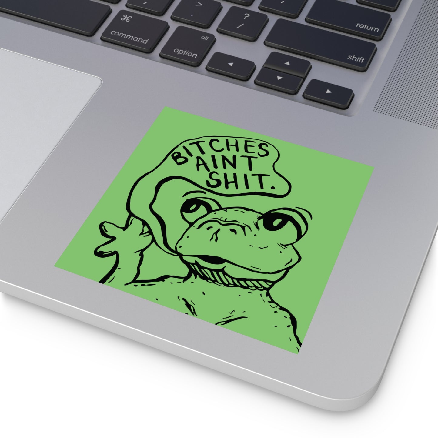 B*tches Ain't... Frog Sticker | Funny Frog Meme Vinyl Sticker