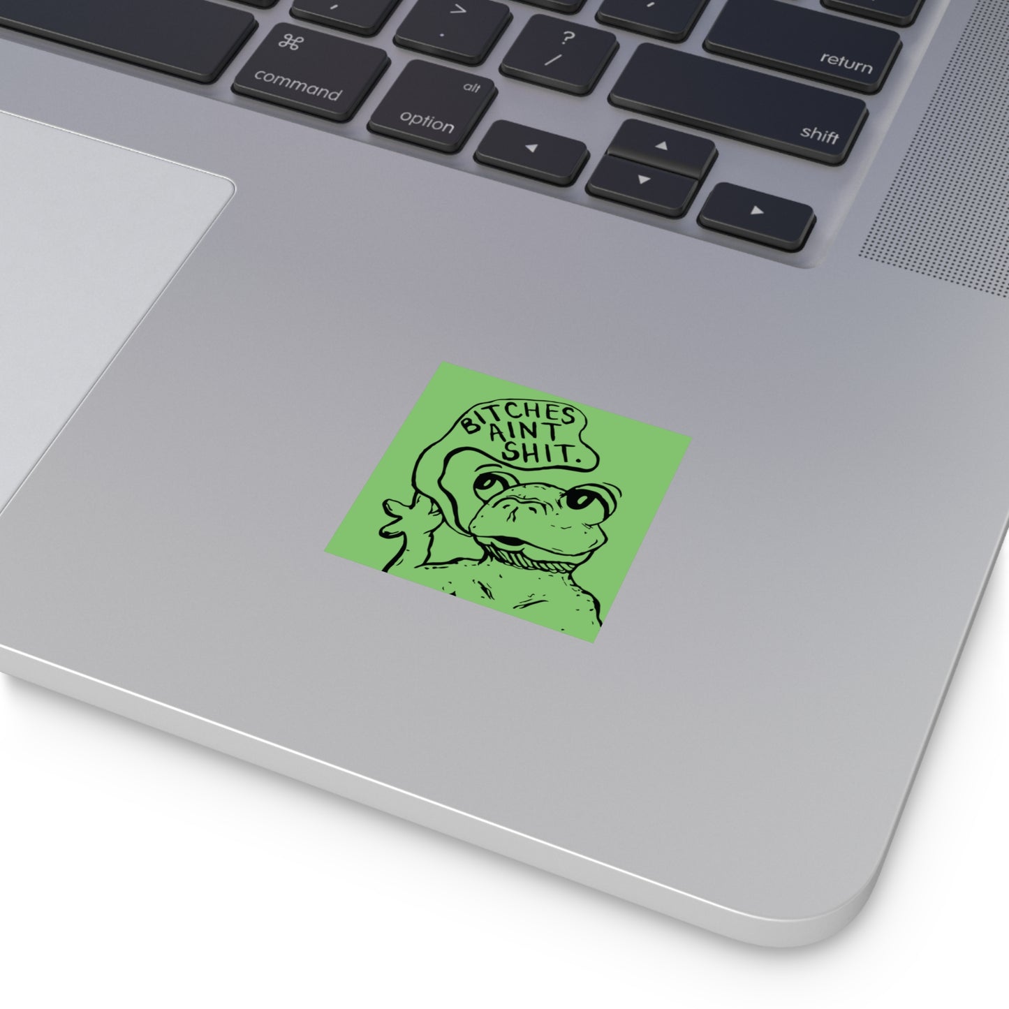 B*tches Ain't... Frog Sticker | Funny Frog Meme Vinyl Sticker