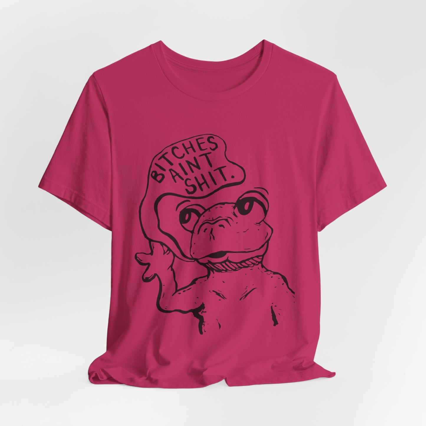 B*tches Ain't... Frog Shirt | Funny Cartoon Frog Meme Tee