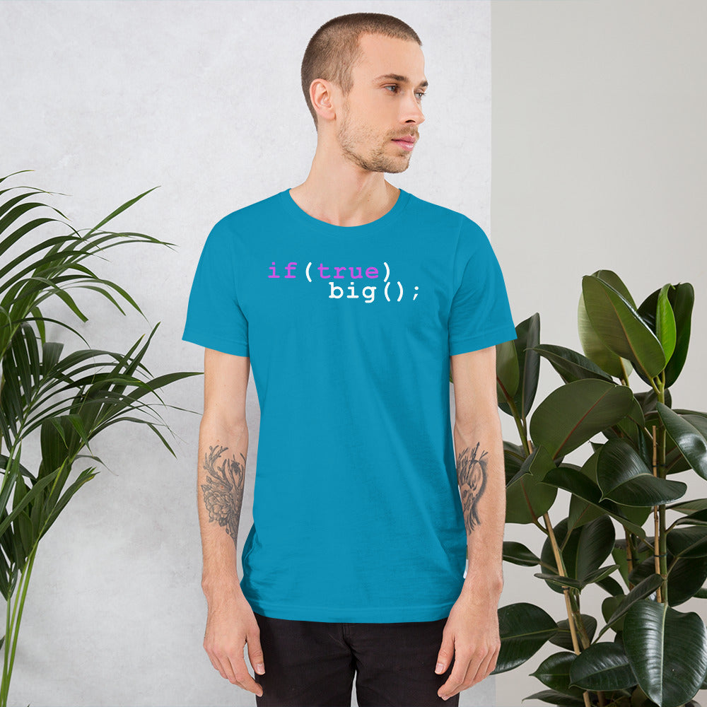 Big If True Coding Shirt | Nerdy Geeky Apparel