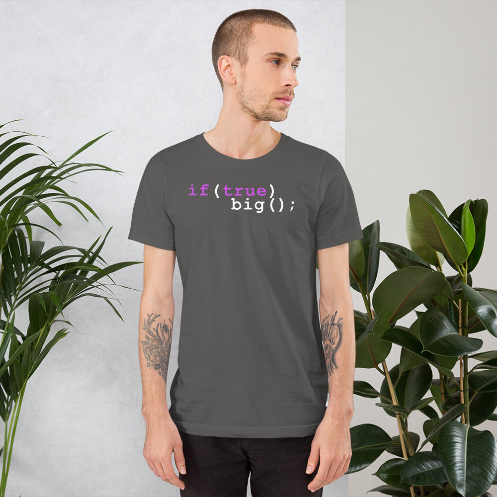 Big If True Coding Shirt | Nerdy Geeky Apparel