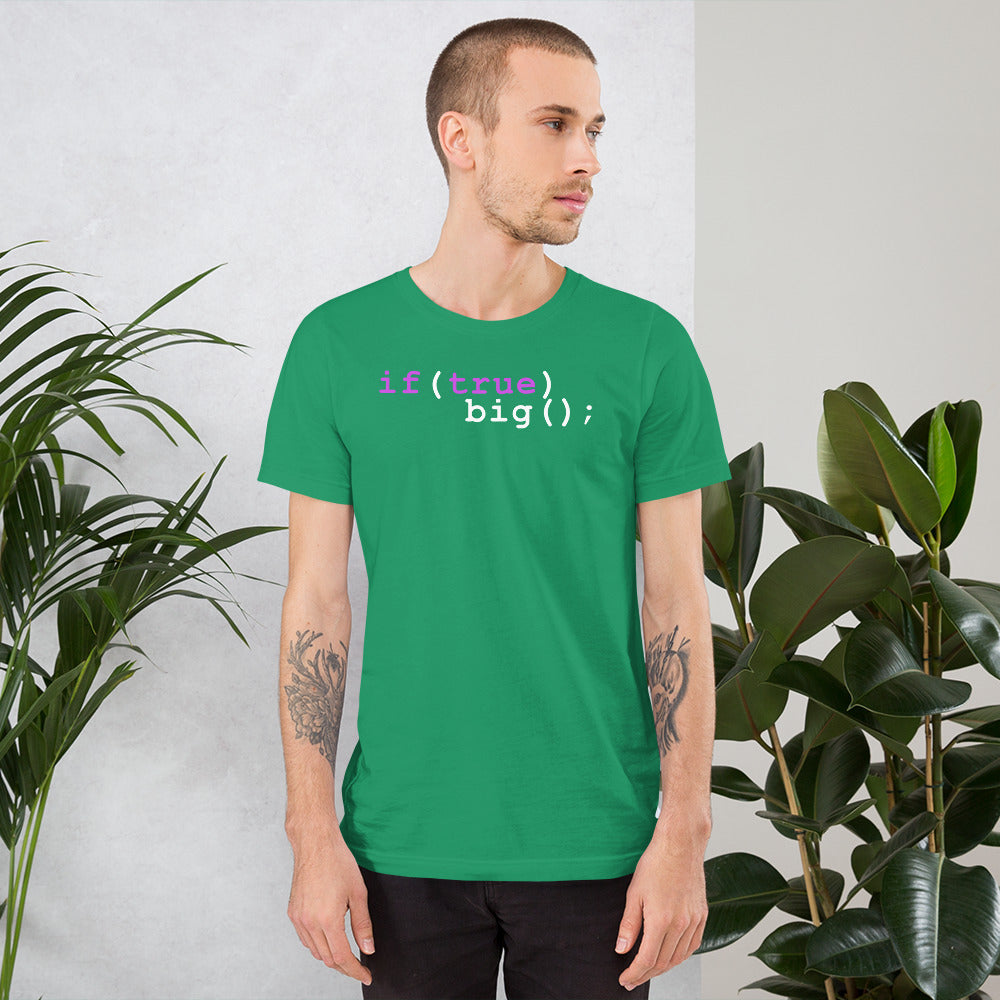 Big If True Coding Shirt | Nerdy Geeky Apparel