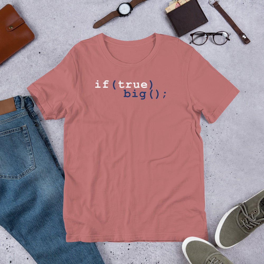 Big If True Coding Shirt | Nerdy Geeky Apparel