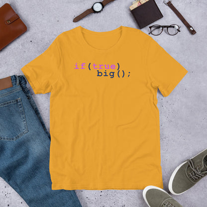 Big If True Coding Shirt | Nerdy Geeky Apparel