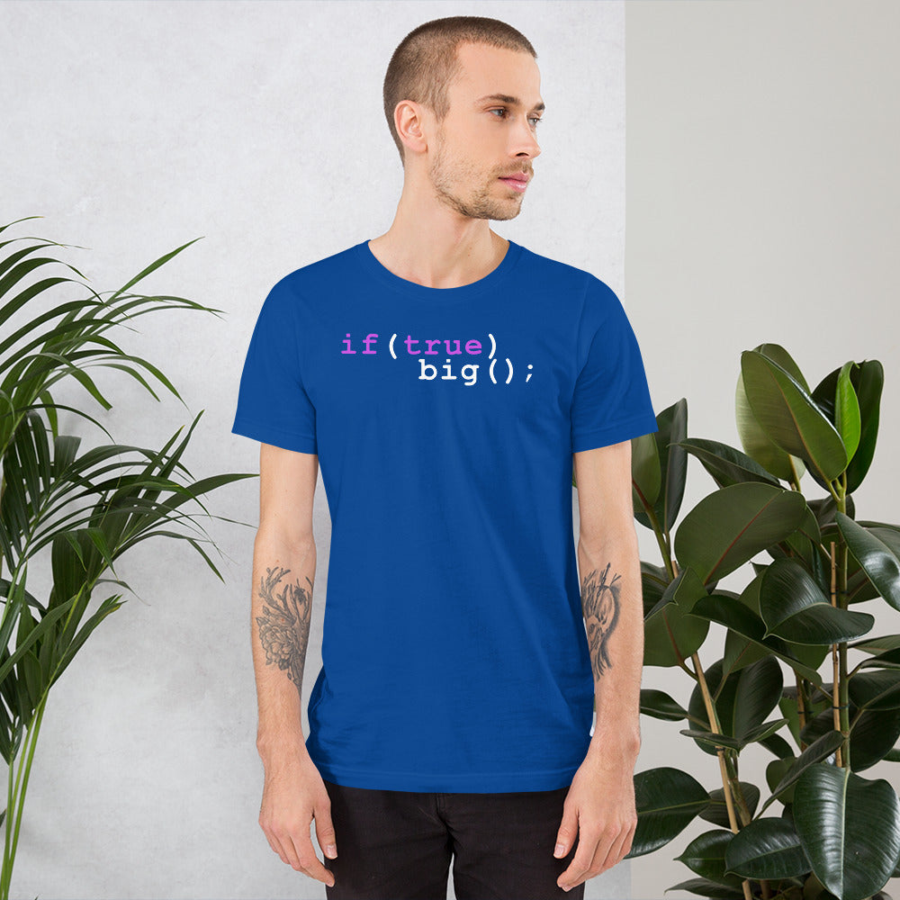 Big If True Coding Shirt | Nerdy Geeky Apparel